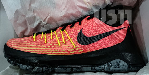 Kd 8 Sunrise Release Date 2