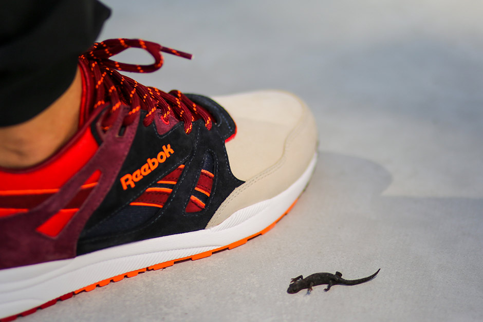 Reebok Ventilator Desert Dawn By Titolo 09