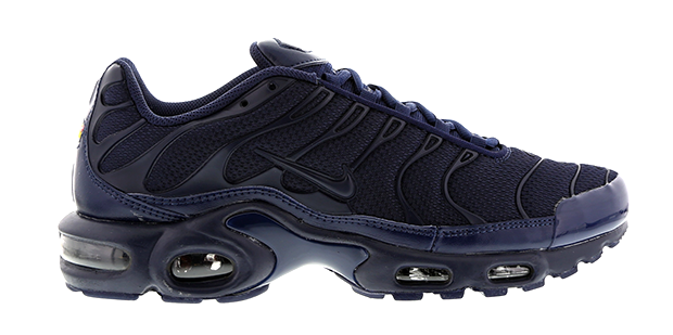 Nike Air Max Plus Obsidian 2