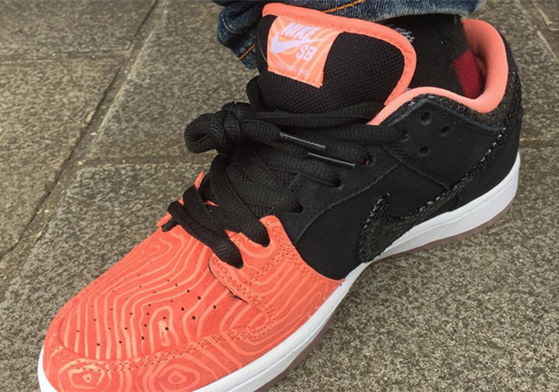 Premier Nike Sb Dunk Low Salmon 1