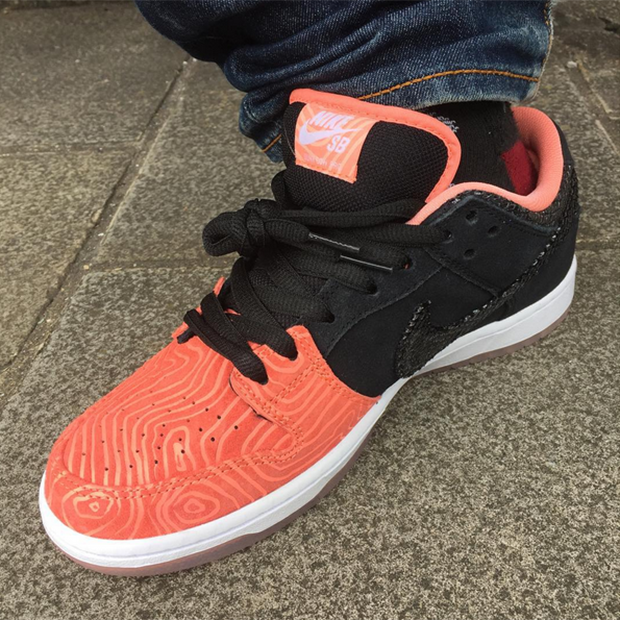 Premier Nike Sb Dunk Low Salmon 2