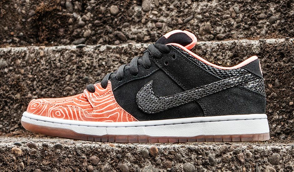 Premier Skate Nike Sb Fish Ladder Collection Rd 02