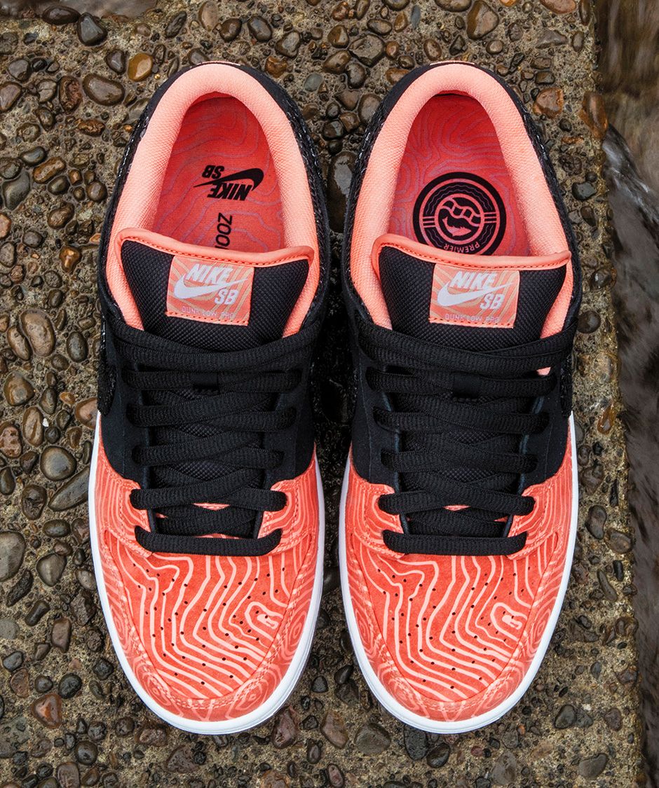 Premier Skate Nike Sb Fish Ladder Collection Rd 05