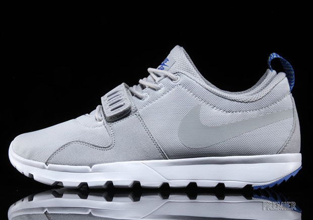 Nike Sb Trainerendor Pure Platinum 2