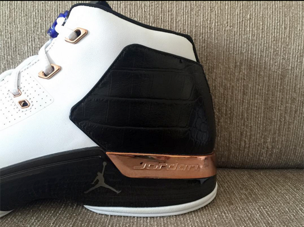 Air Jordan 17 Copper Retro 6