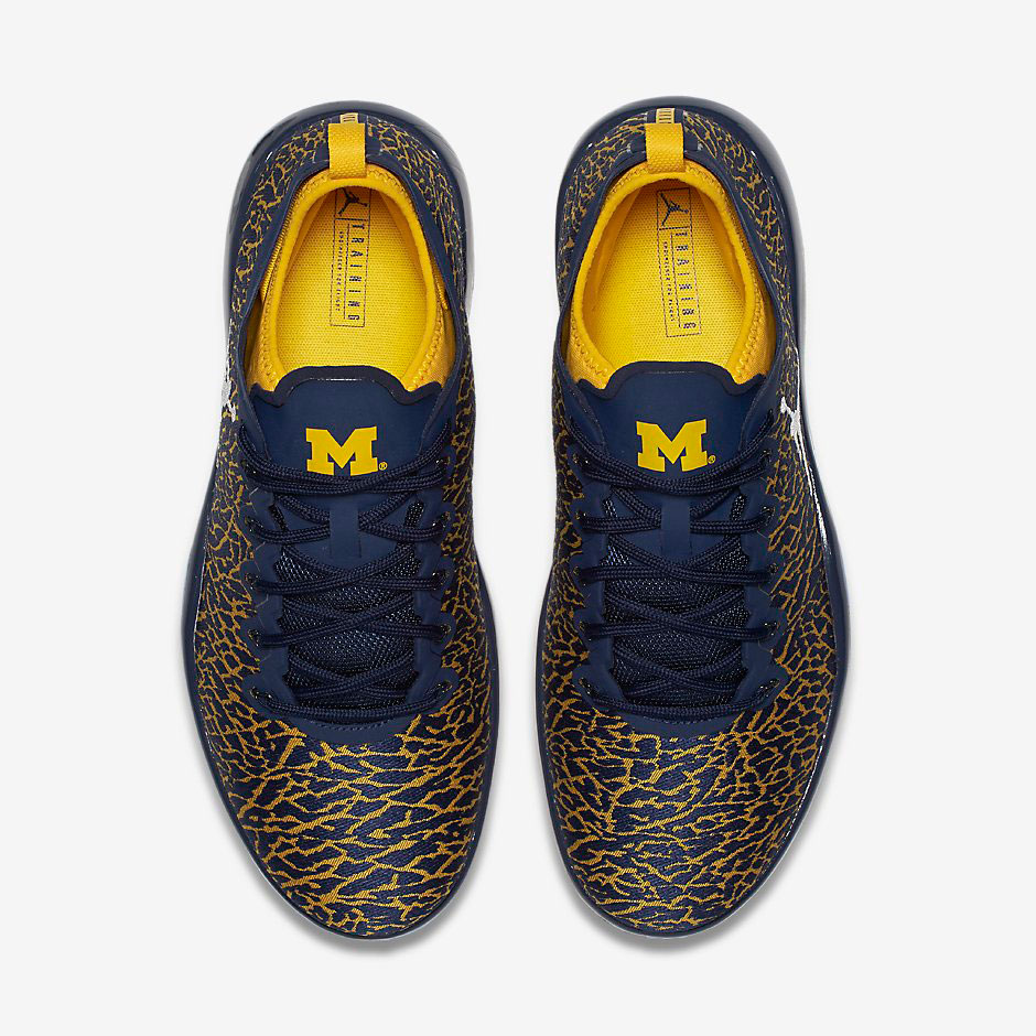 Air-Jordan-Trainer-1-Low-Michigan-03