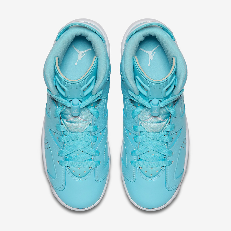 Air Jordan 6 Pantone Gs 2