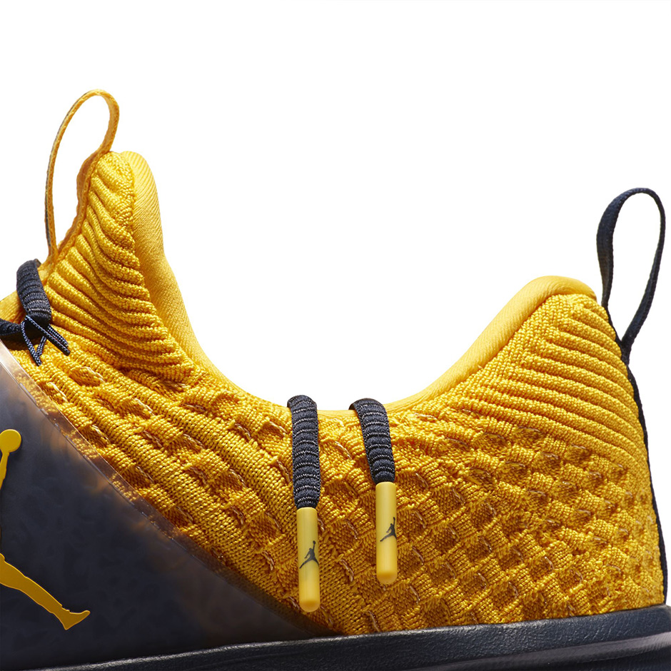 Jordan Trainer 2 Flyknit Michigan 1