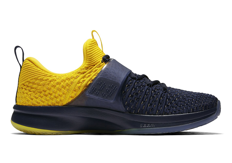 Jordan Trainer 2 Flyknit Michigan 6