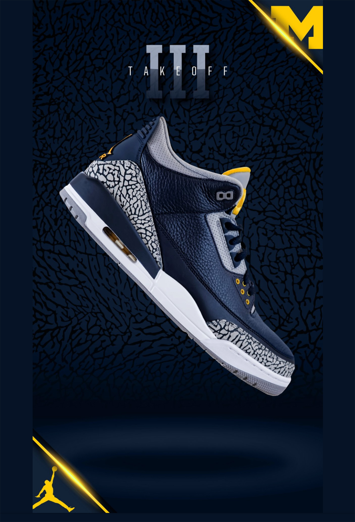 Air Jordan 3 Michigan Pe First Look 2