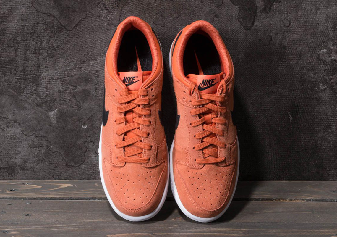 Nike Dunk Low Terra Orange 904234 800 2