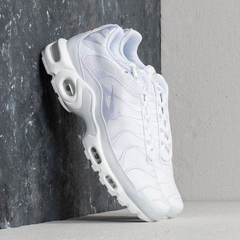 Nike Air Max Plus Leather 11