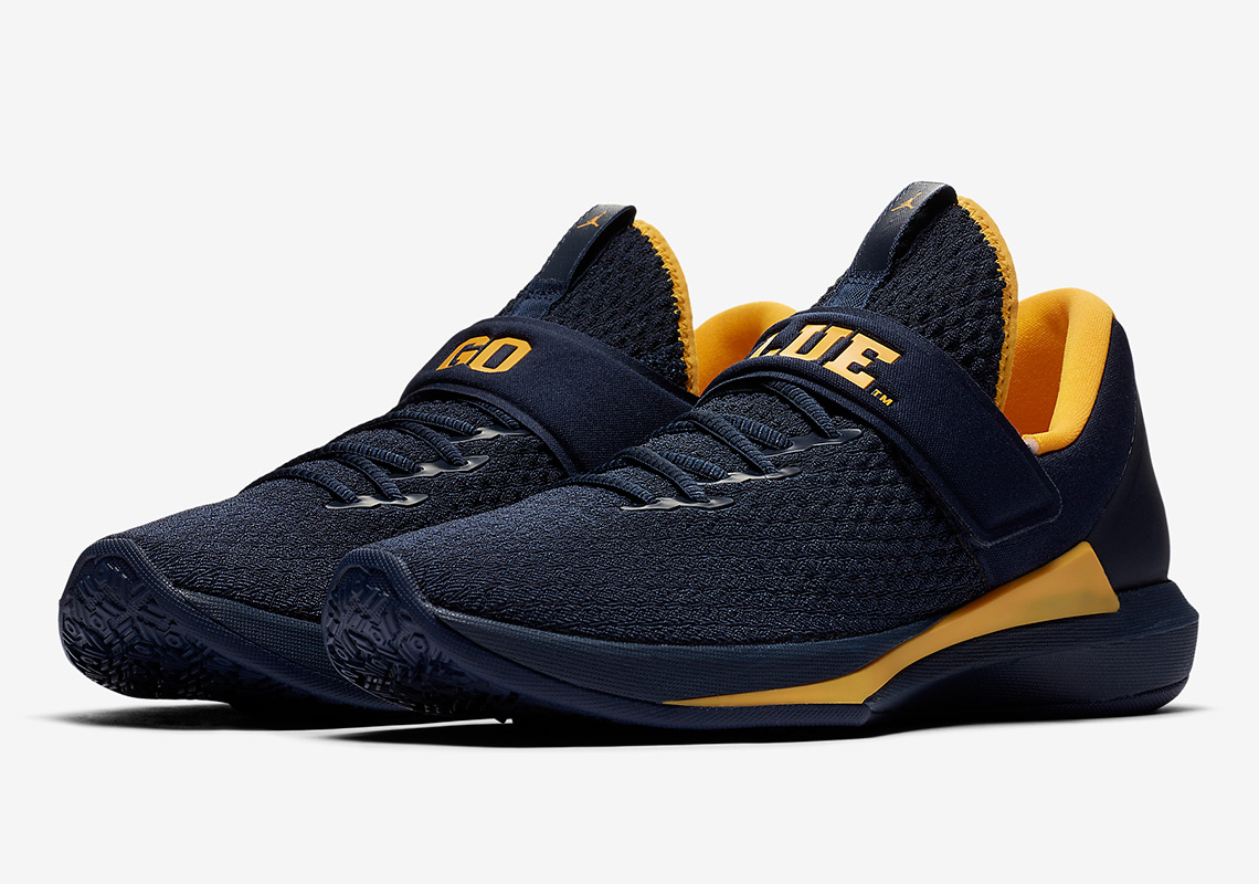 Jordan Trainer 3 Michigan Wolverines