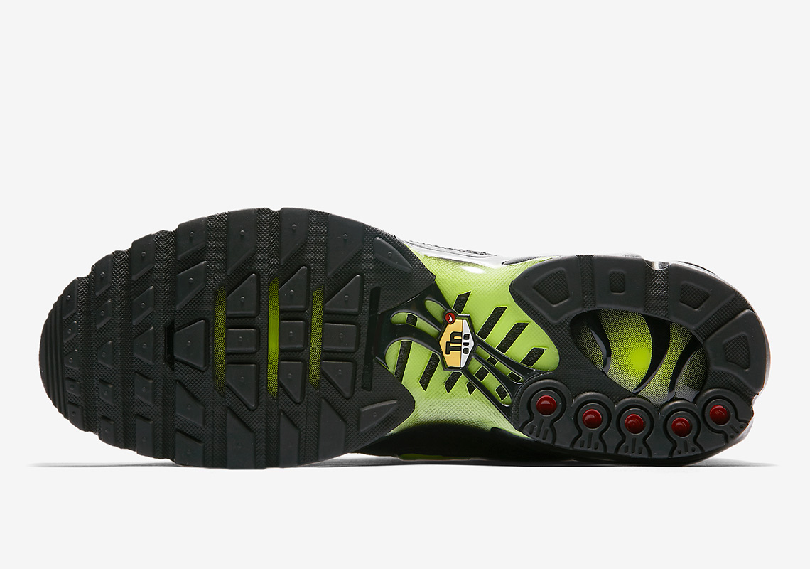 Nike Air Max Plus Aj2013 001 3