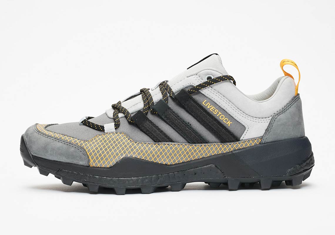 Adidas Consortium Terrex Skychaser B37853 4