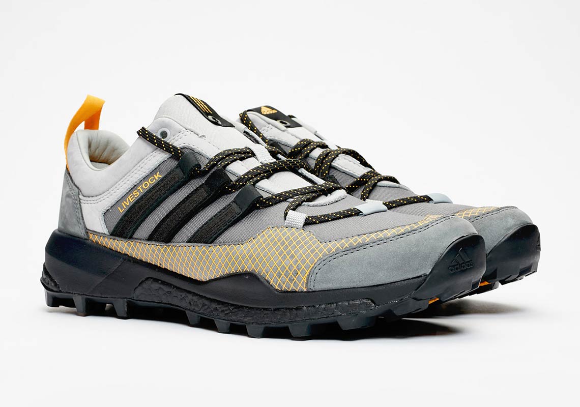 Adidas Consortium Terrex Skychaser B37853 7