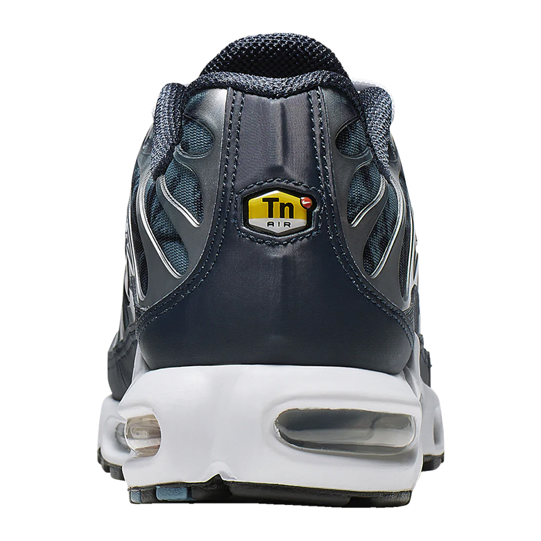 Nike Air Max Plus Palm Pack Navy Grey 2