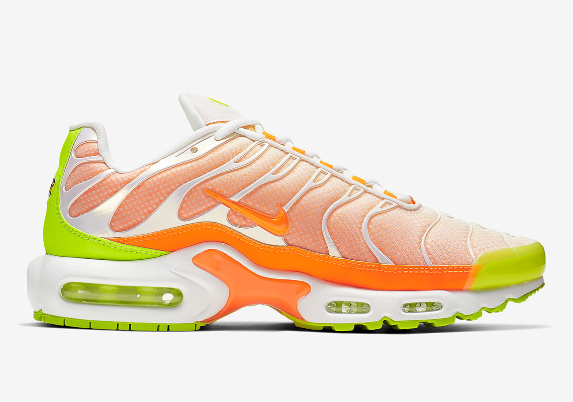 Nike Air Max Plus Color Flip Ci5924 531 3