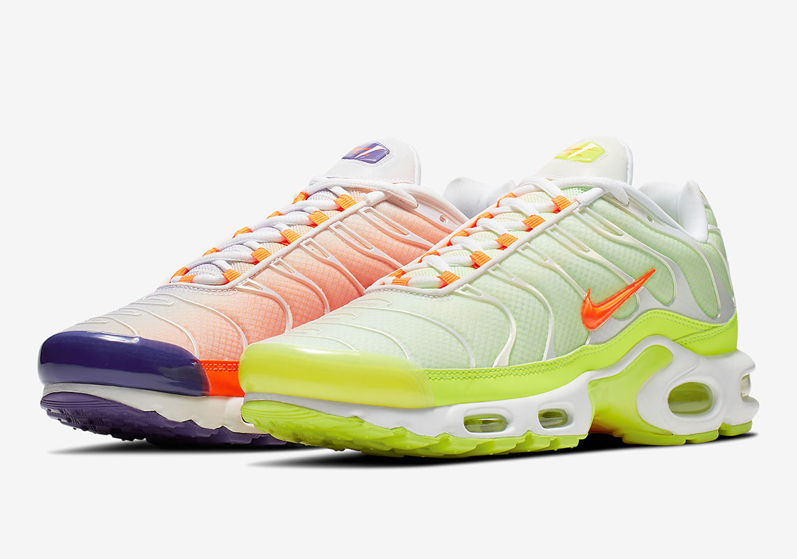 Nike Air Max Plus Color Flip Ci5924 531 5