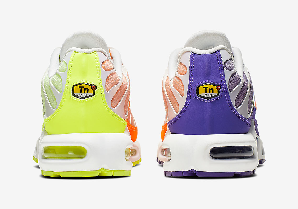 Nike Air Max Plus Color Flip Ci5924 531 6