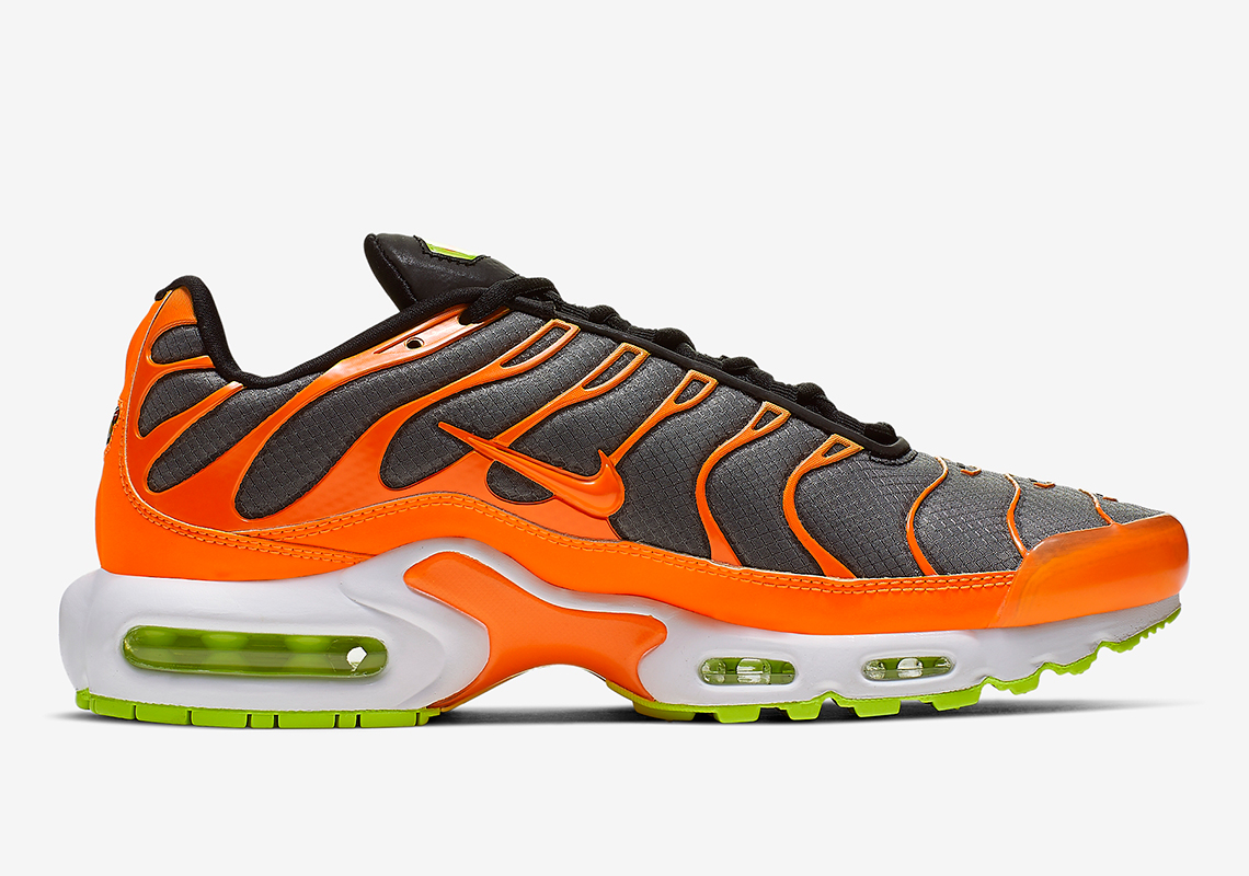 Nike Air Max Plus Color Flip Ci5924 061 6