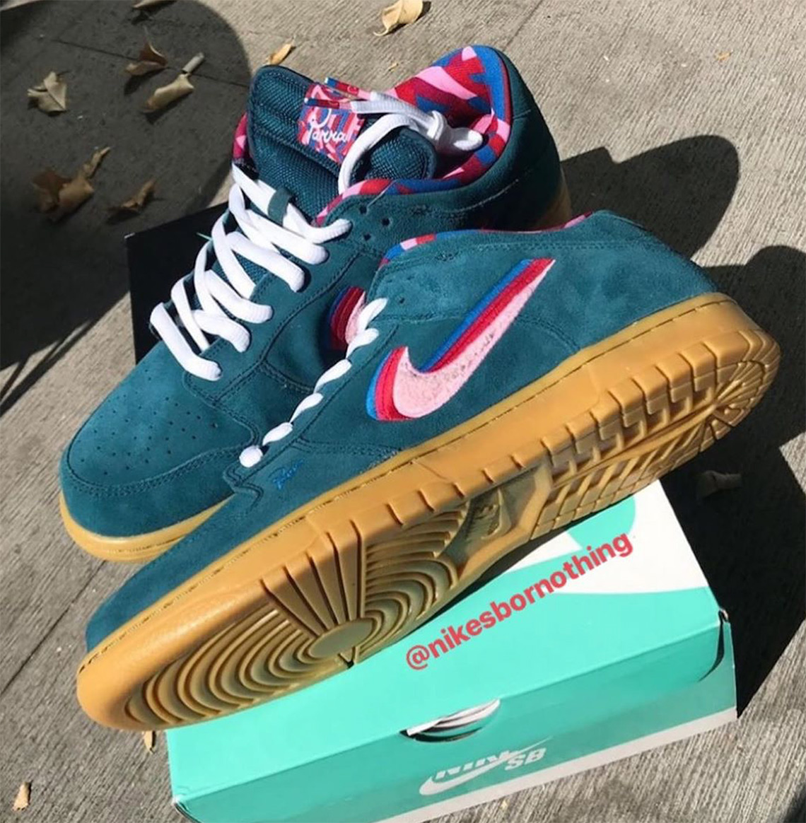 Parra Nike Sb Dunk Friends And Family Teal 5