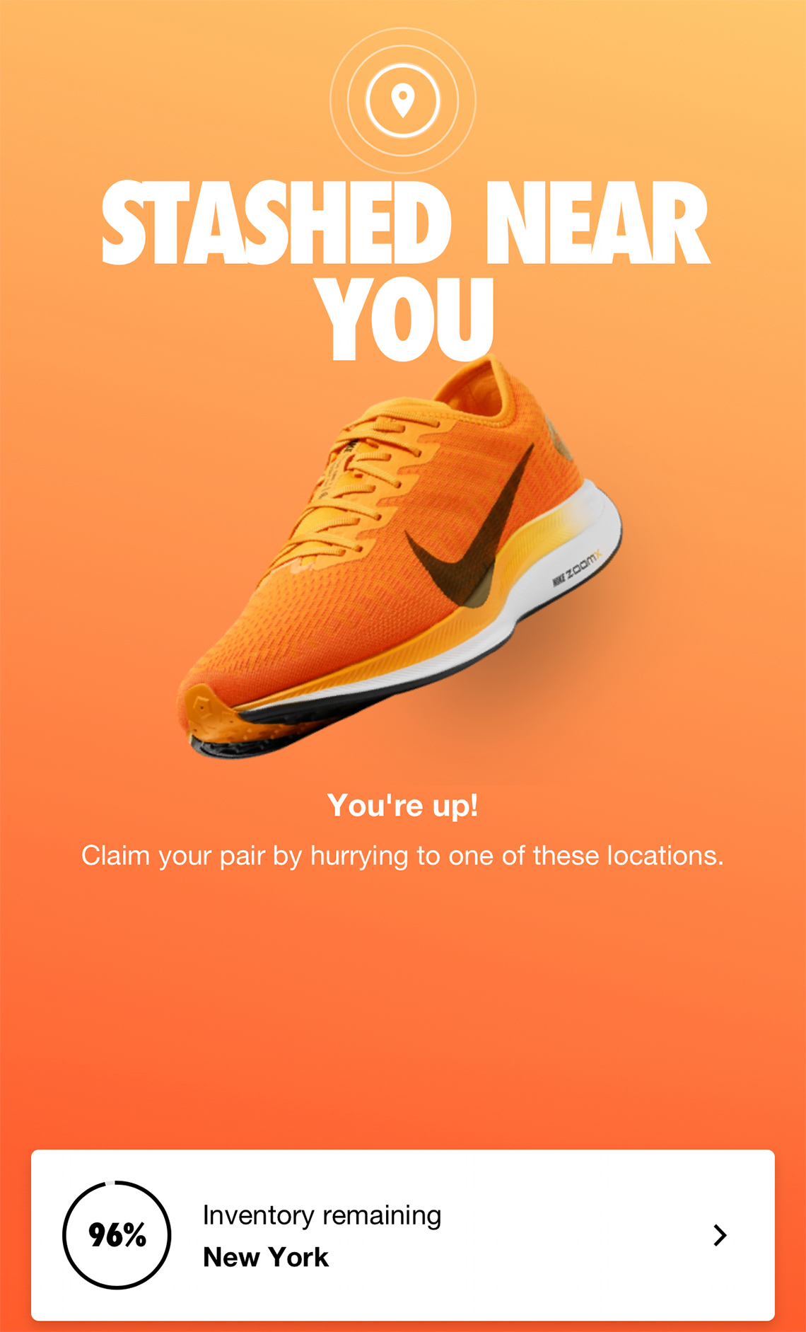 Nike Snkrs Shared Stash 5