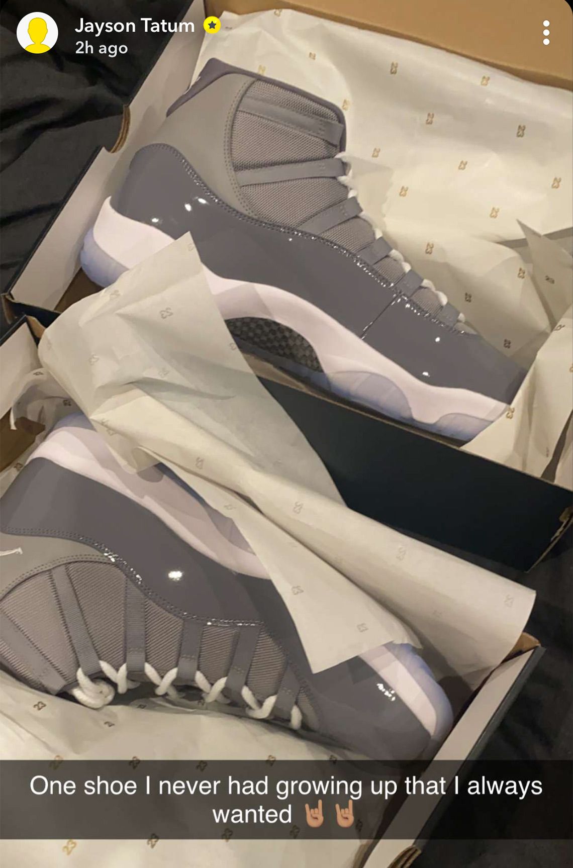 Air Jordan 11 Cool Grey 2020