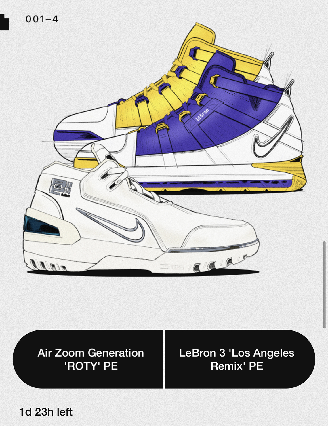 Nike Lebron Pe Vote Back 4