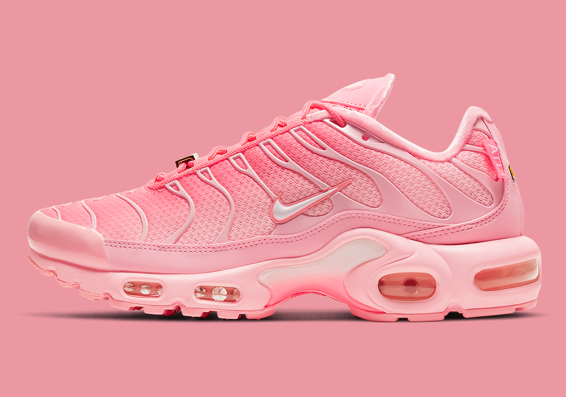 Nike Air Max Plus City Special Atl Dh0155 600 1