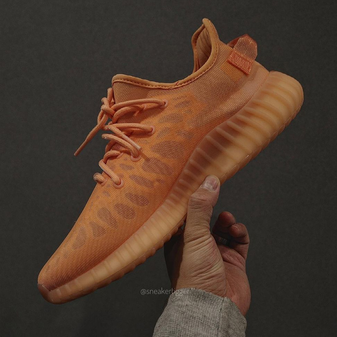 Adidas Yeezy Boost 350 V2 Mono Clay 2