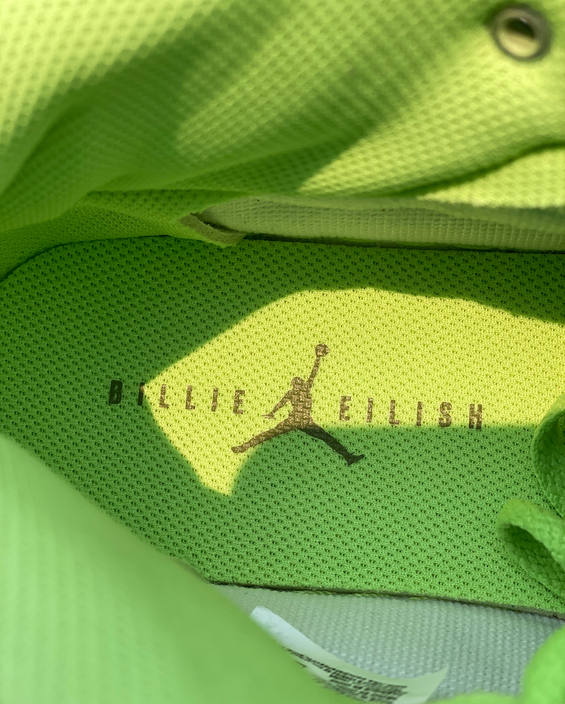 Jordan 1 Billie Eilish 10