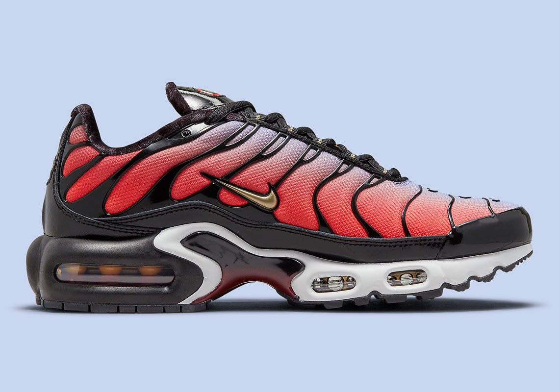 Nike Air Max Plus Wmns Sisterhood Do6115 500 10