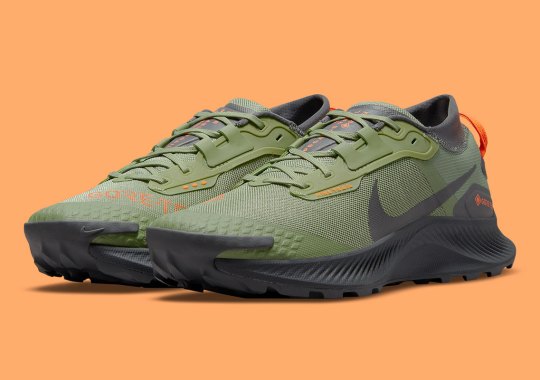 Flight Jacket Colors Land On The Nike Pegasus Trail 3 GORE-TEX