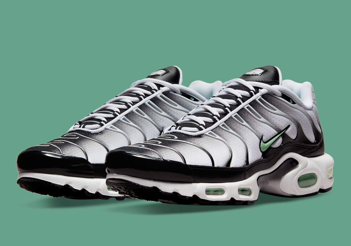 Nike Air Max Plus Dh4776 100 9