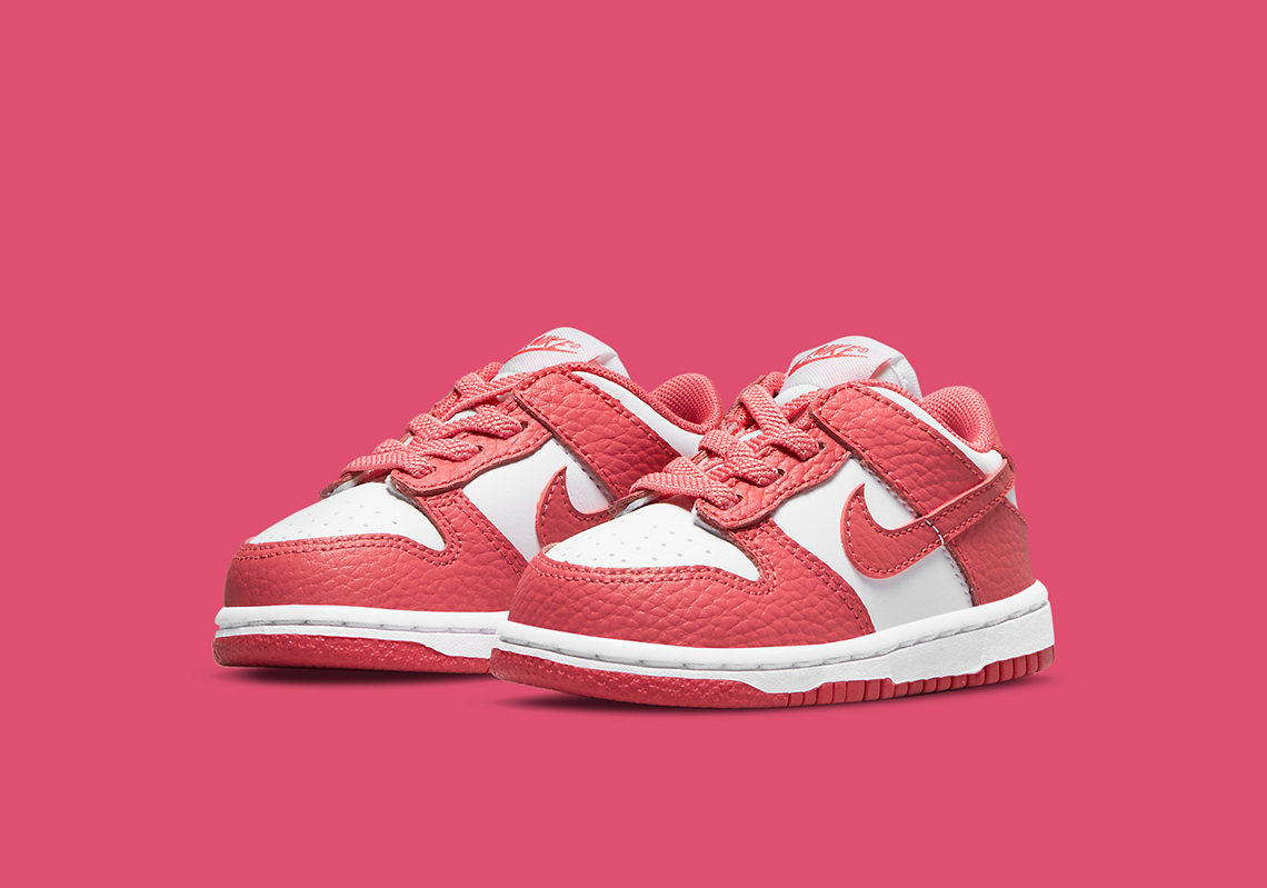 Nike Dunk Low Gypsy Rose Td Dc9562 111 4