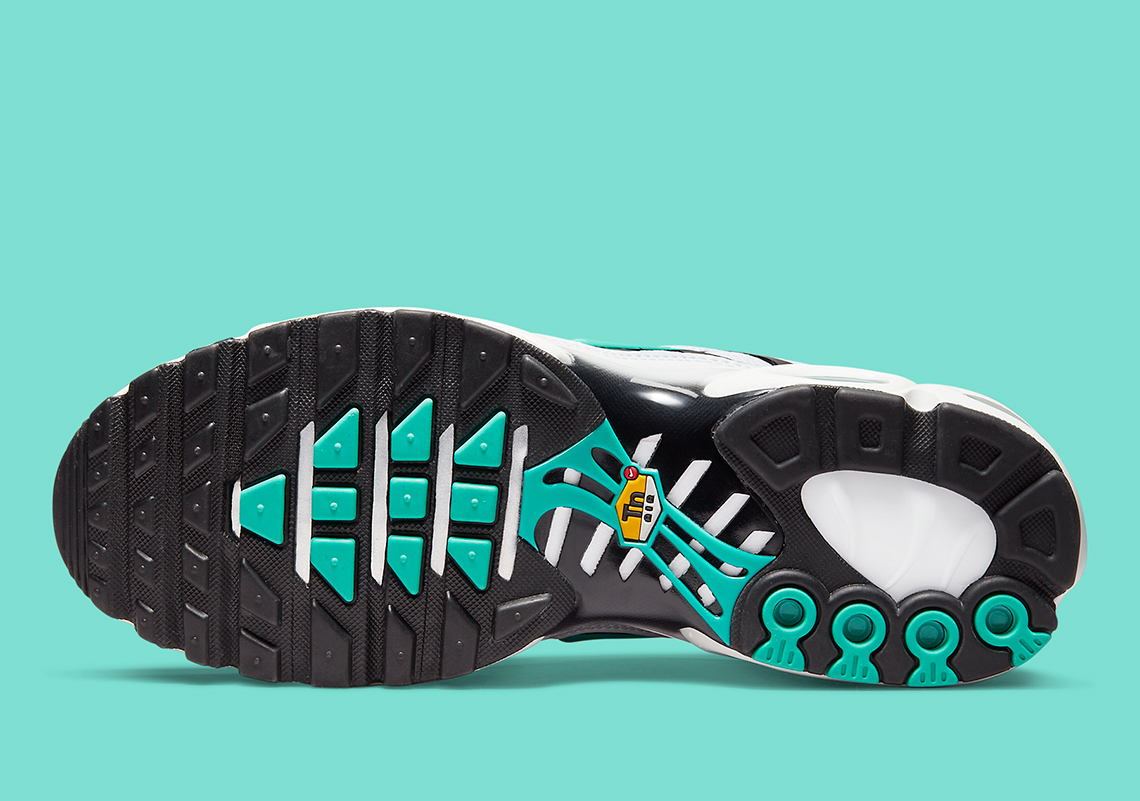 Nike Air Max Plus Atmos Exclusive 604133 148 1