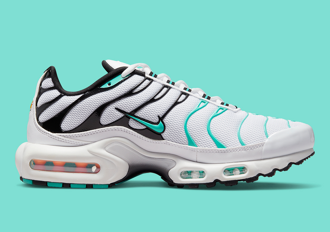 Nike Air Max Plus Atmos Exclusive 604133 148 2