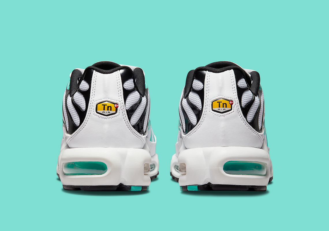 Nike Air Max Plus Atmos Exclusive 604133 148 5