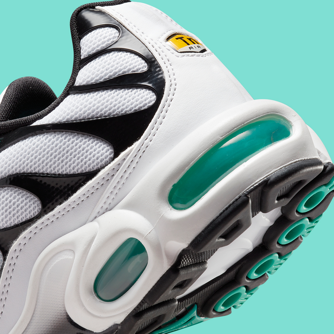 Nike Air Max Plus Atmos Exclusive 604133 148 7