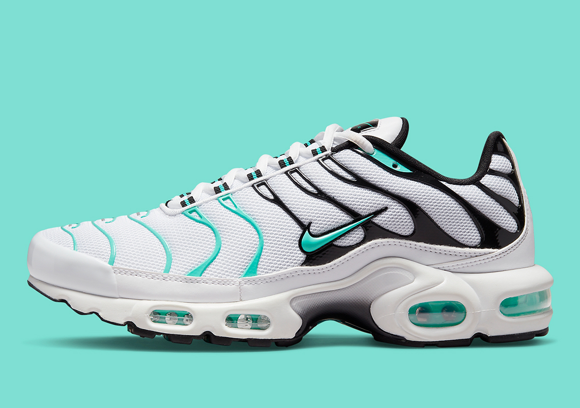 Nike Air Max Plus Atmos Exclusive 604133 148 8