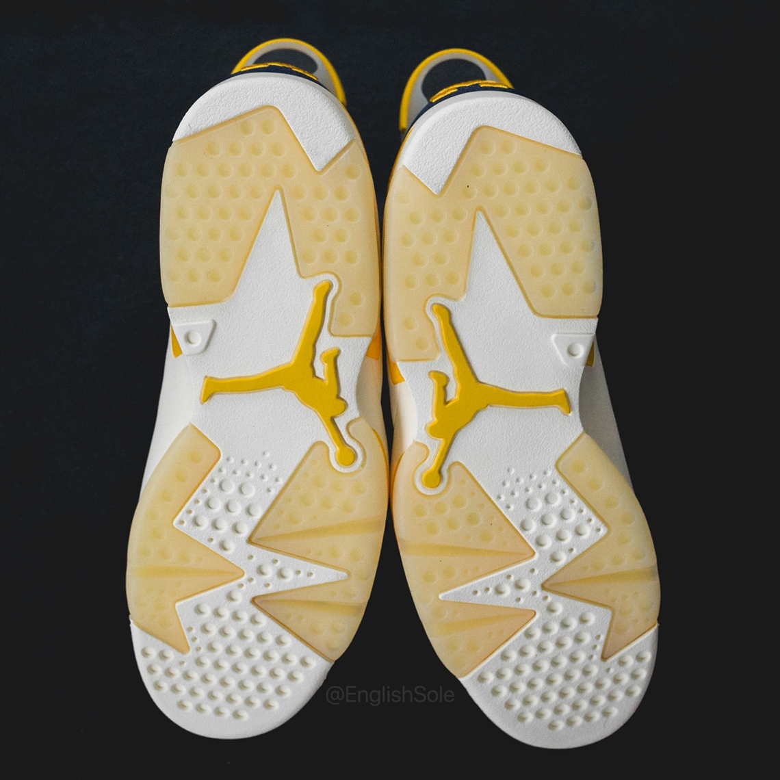 Air Jordan 6 Michigan 2022 Pe 3