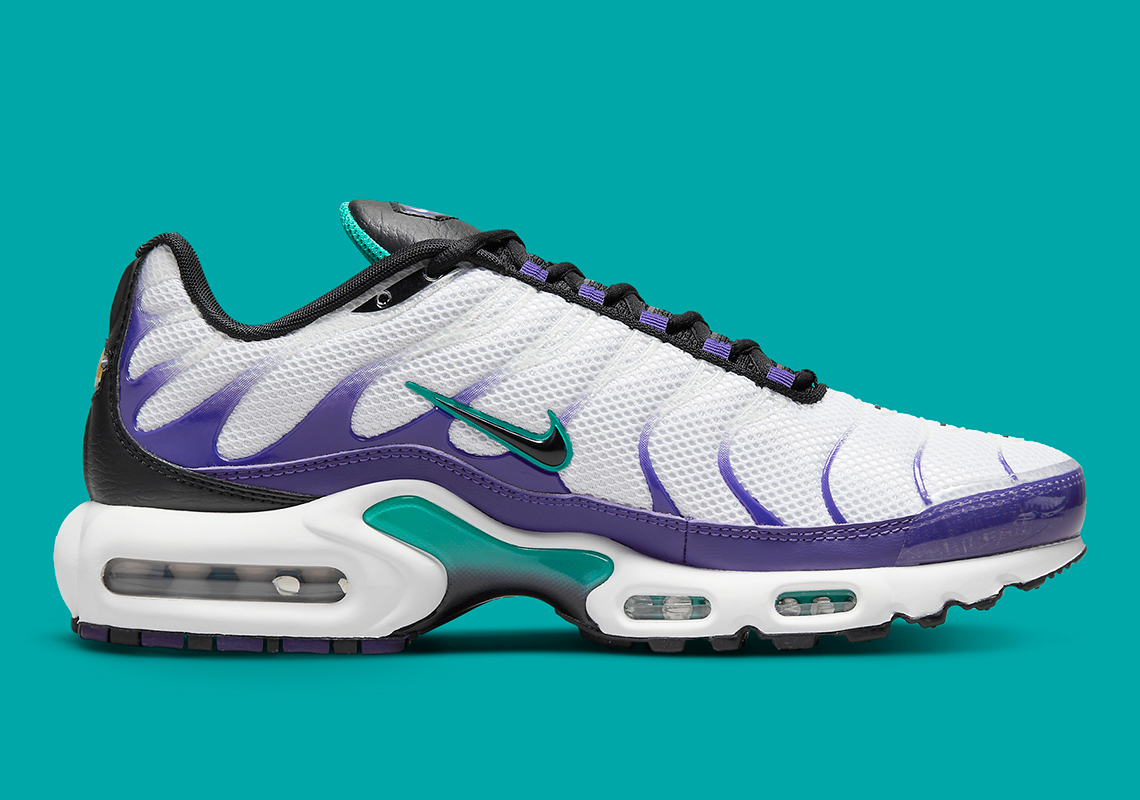 Nike Air Max Plus Grape Dm0032 100 Release Date 3