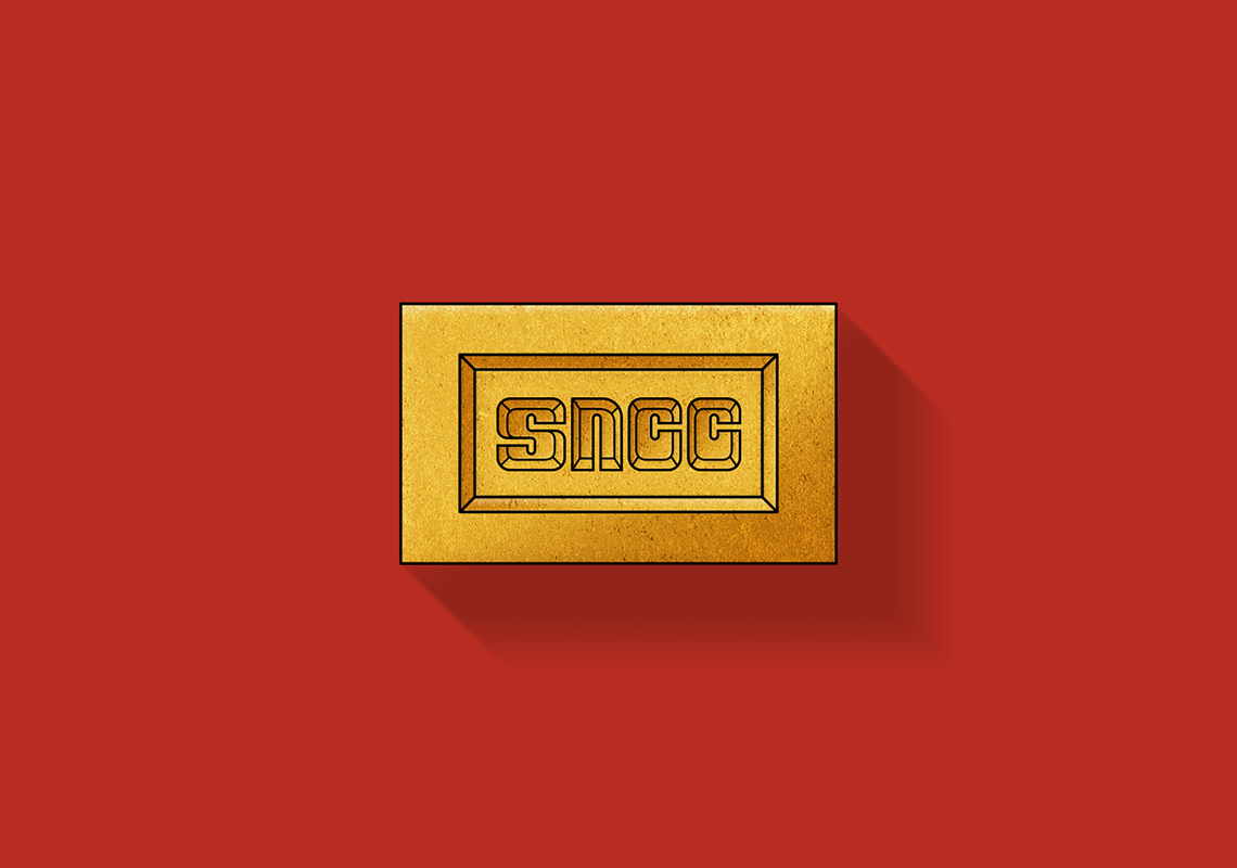 Sn Bricks Announcement