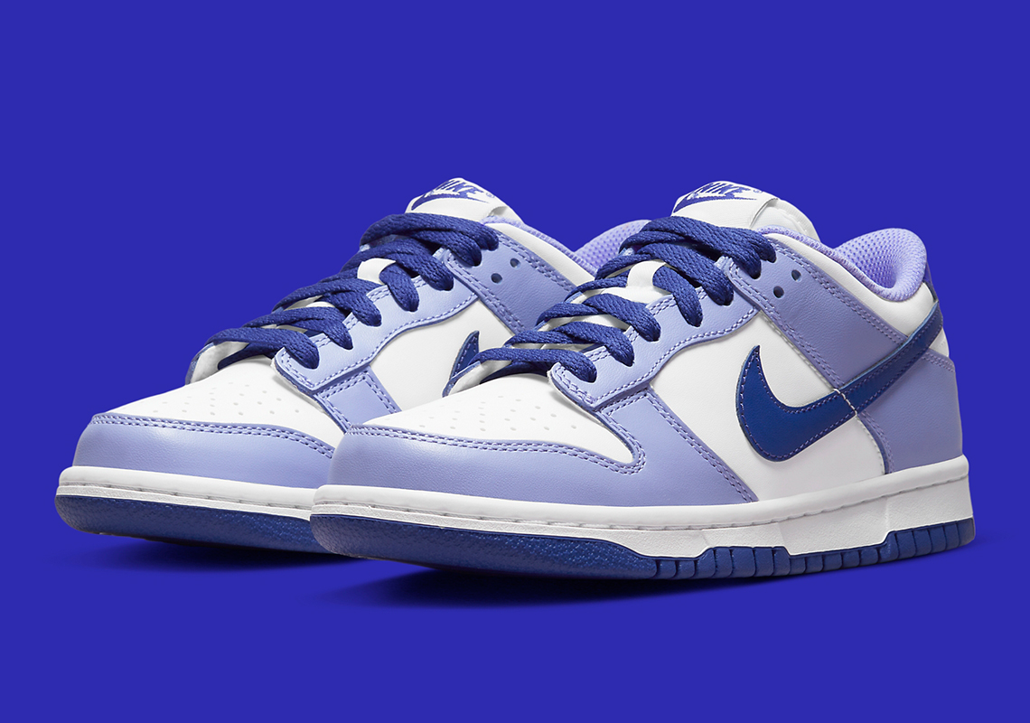 Official Images Of The Kids Nike Dunk Low "Blueberry"