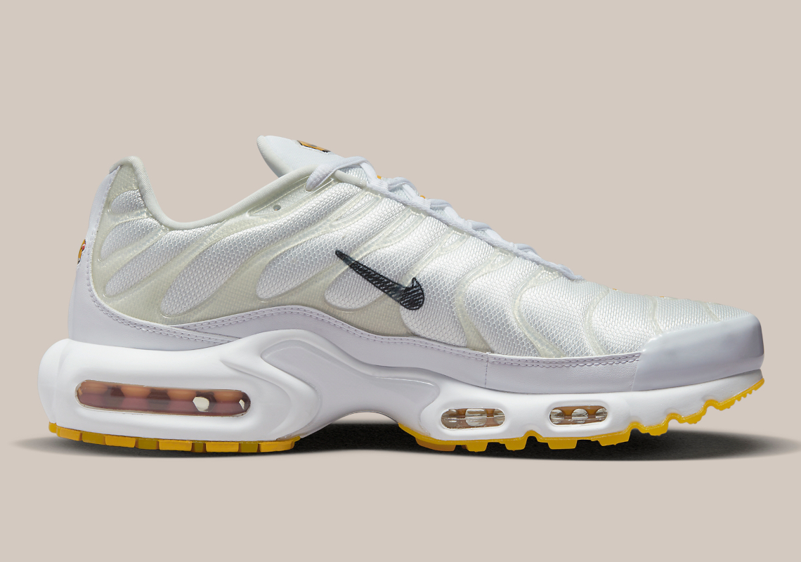 Nike Air Max Plus Dq8960 100 10