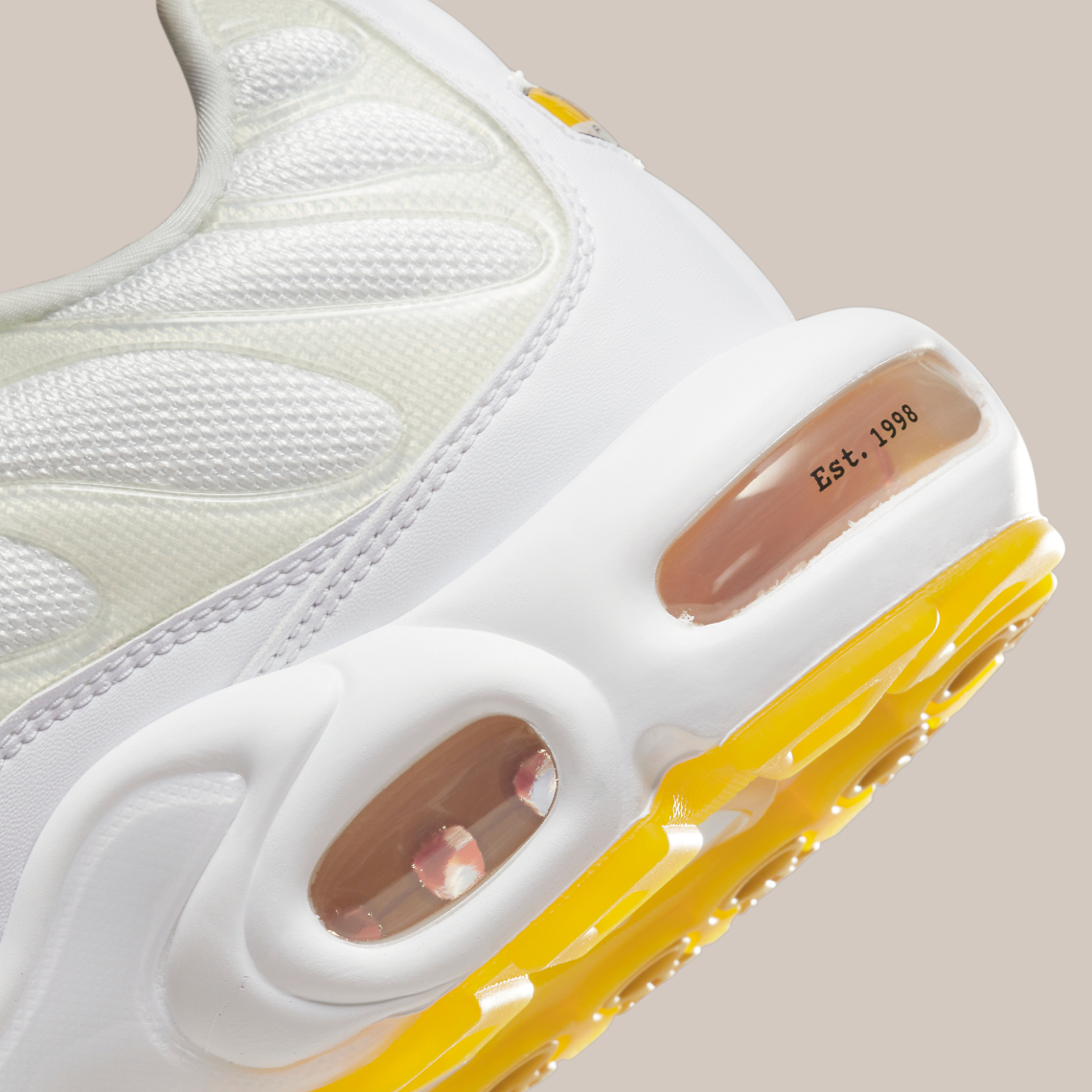 Nike Air Max Plus Dq8960 100 3