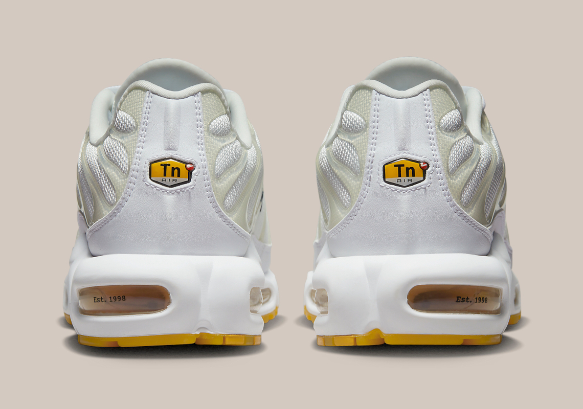 Nike Air Max Plus Dq8960 100 4