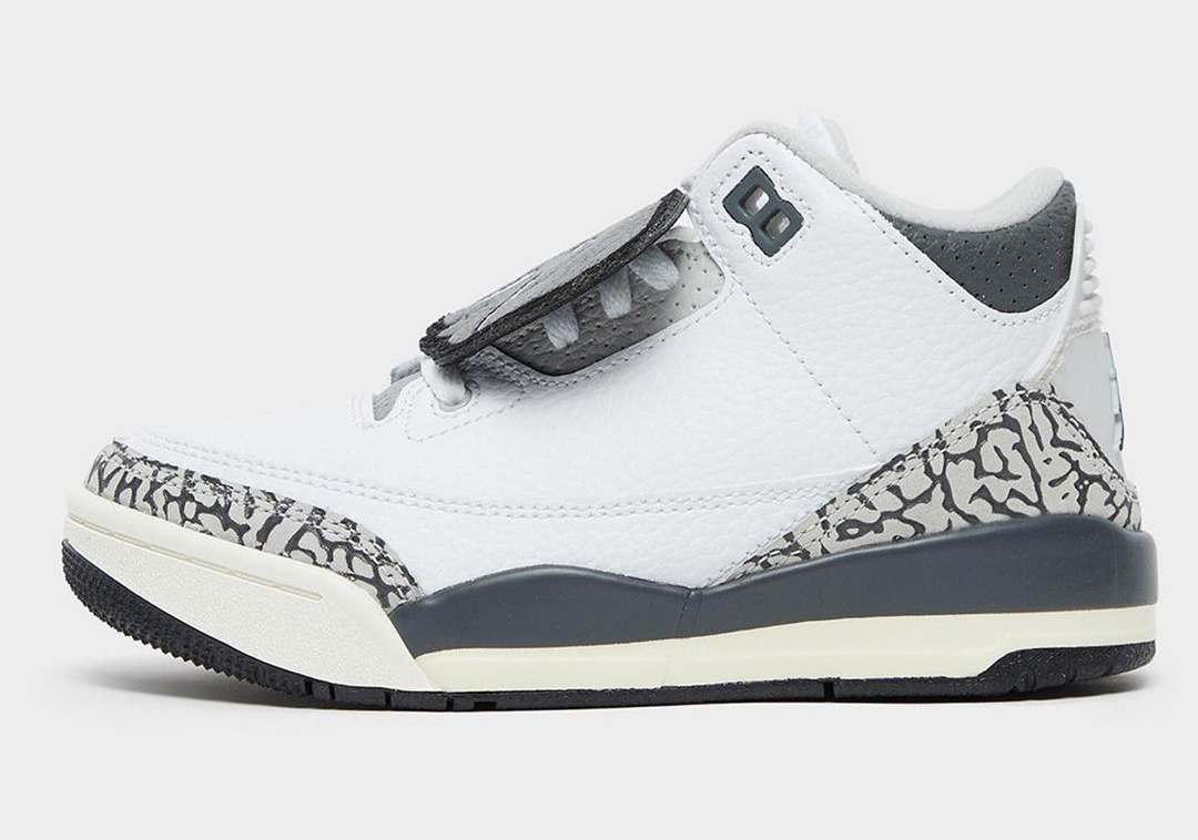 Air Jordan 3 Hide N Sneak 3