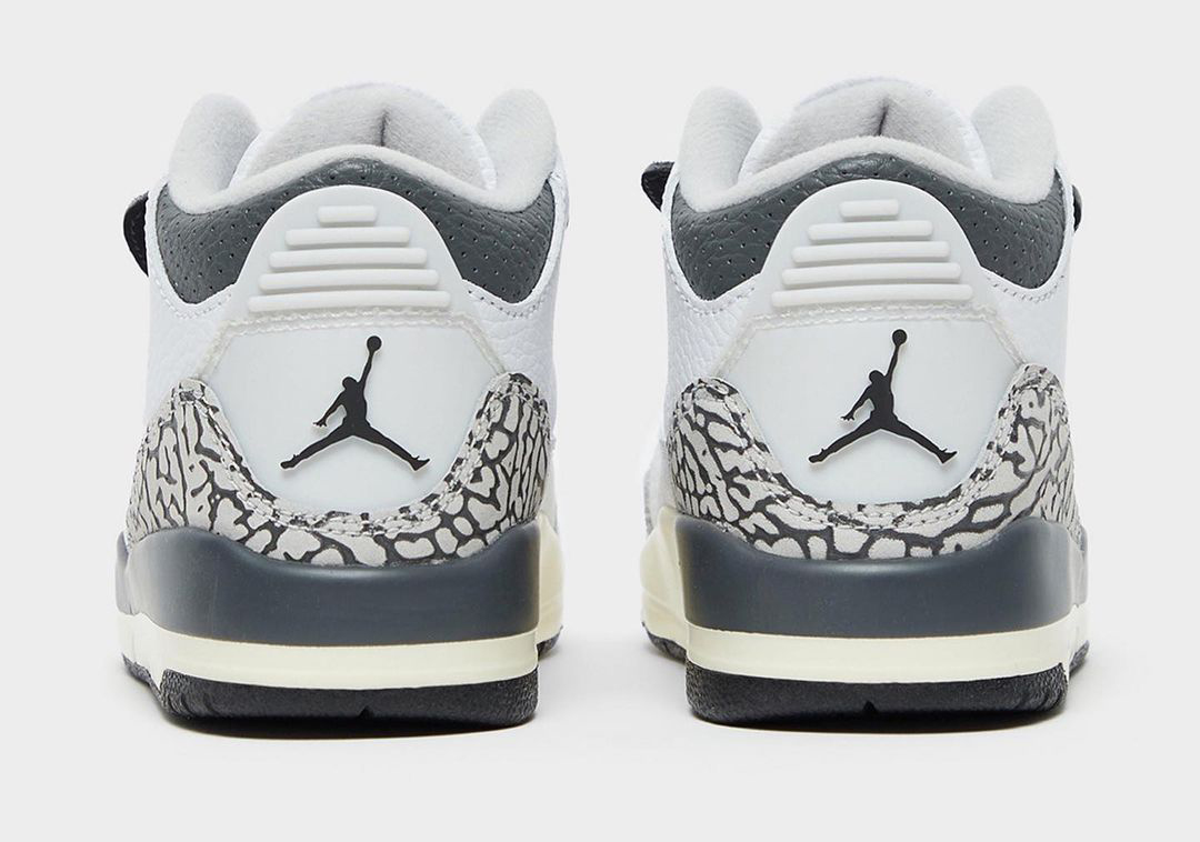 Air Jordan 3 Hide N Sneak 4